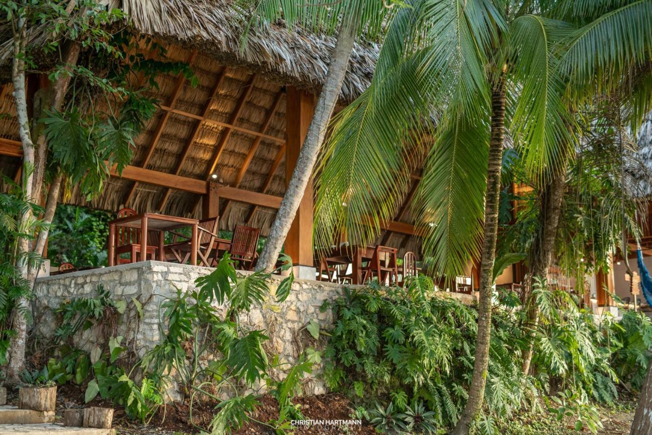 Hotel Gringo Perdido Эль-Ремате Экстерьер фото